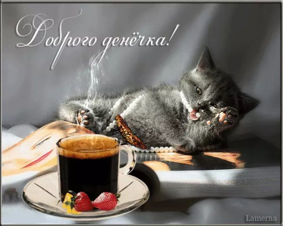 Открытки доброго денечка