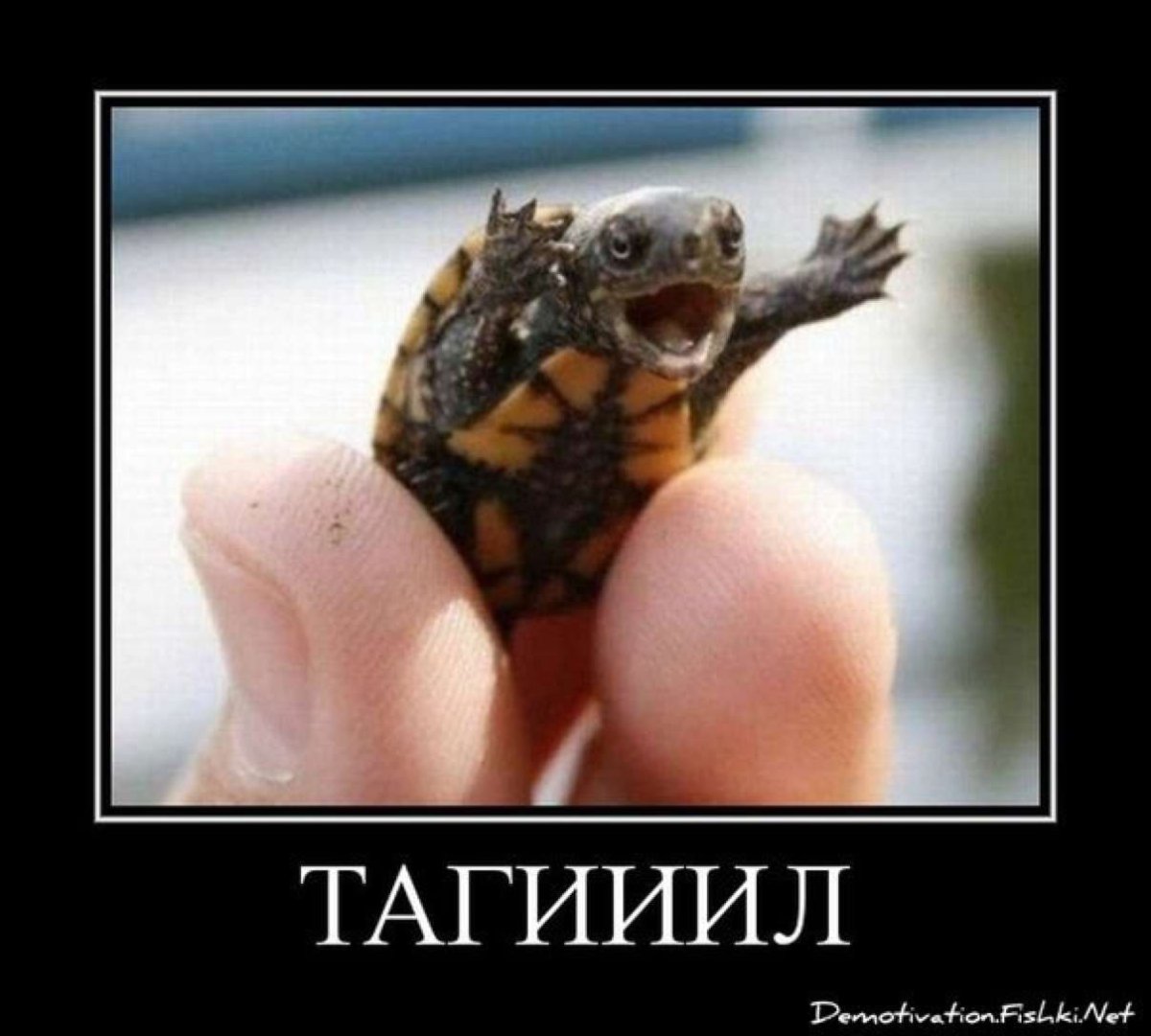 Крутые обложки для фейсбука