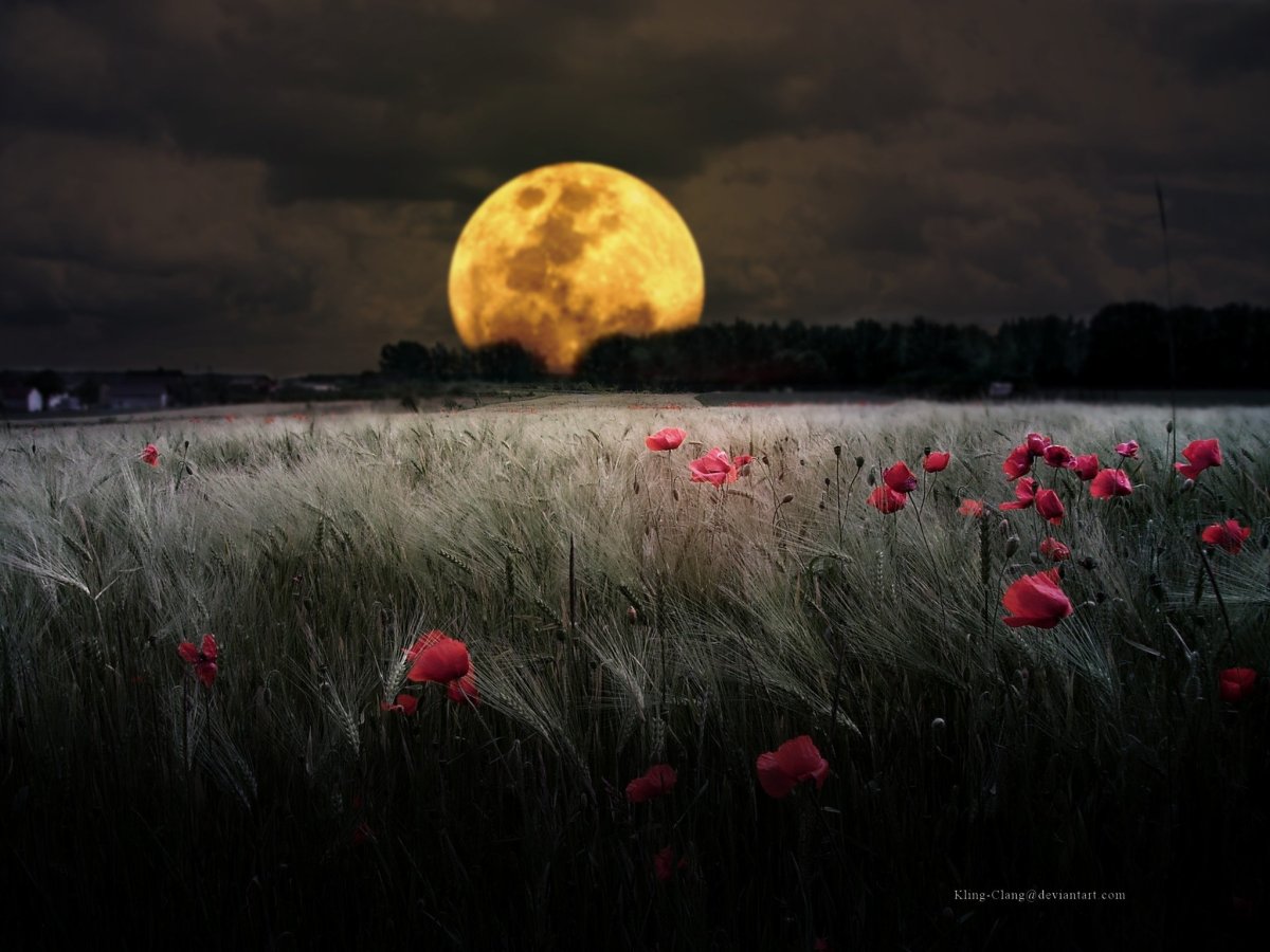 Спокойной ночи креативно