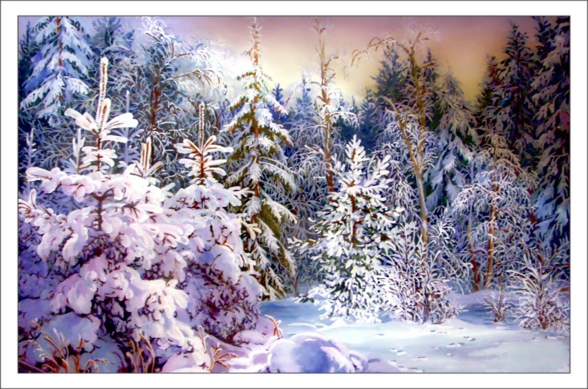 Зимний лес из сказки