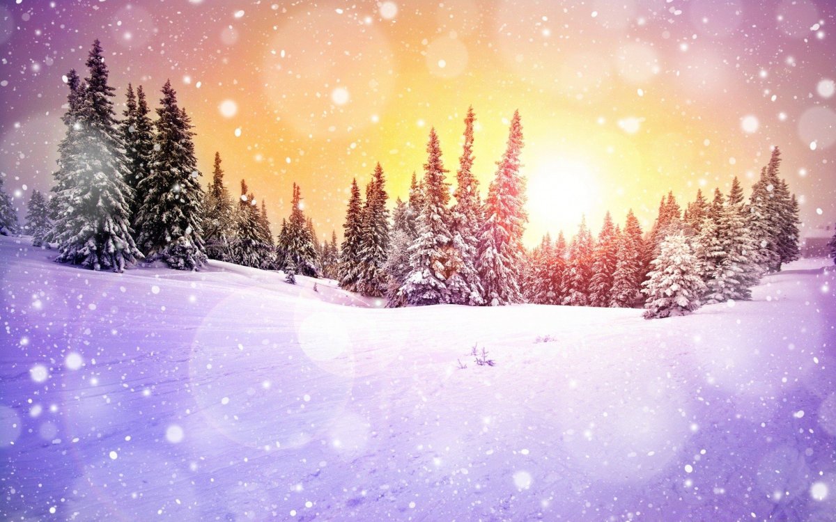 День зимнего солнцестояния