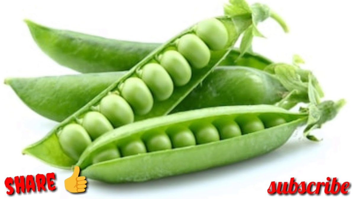 Стручок гороха