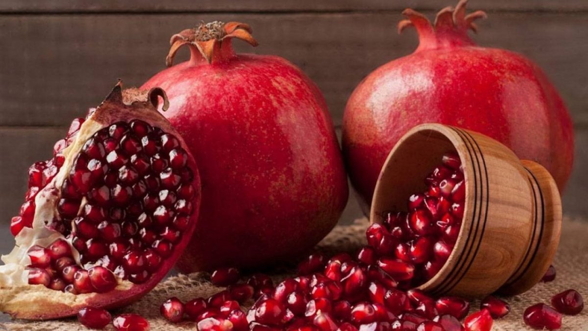 Шиповник орнамент