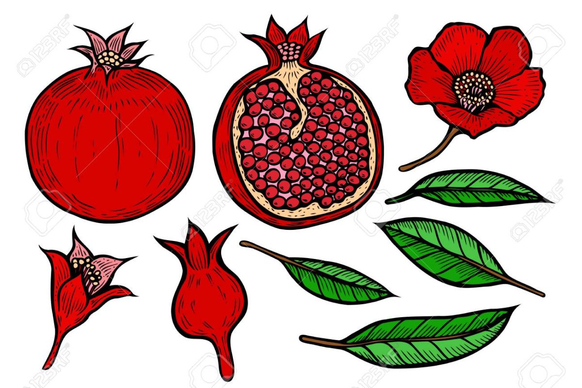 Гранат Крымский полосатый