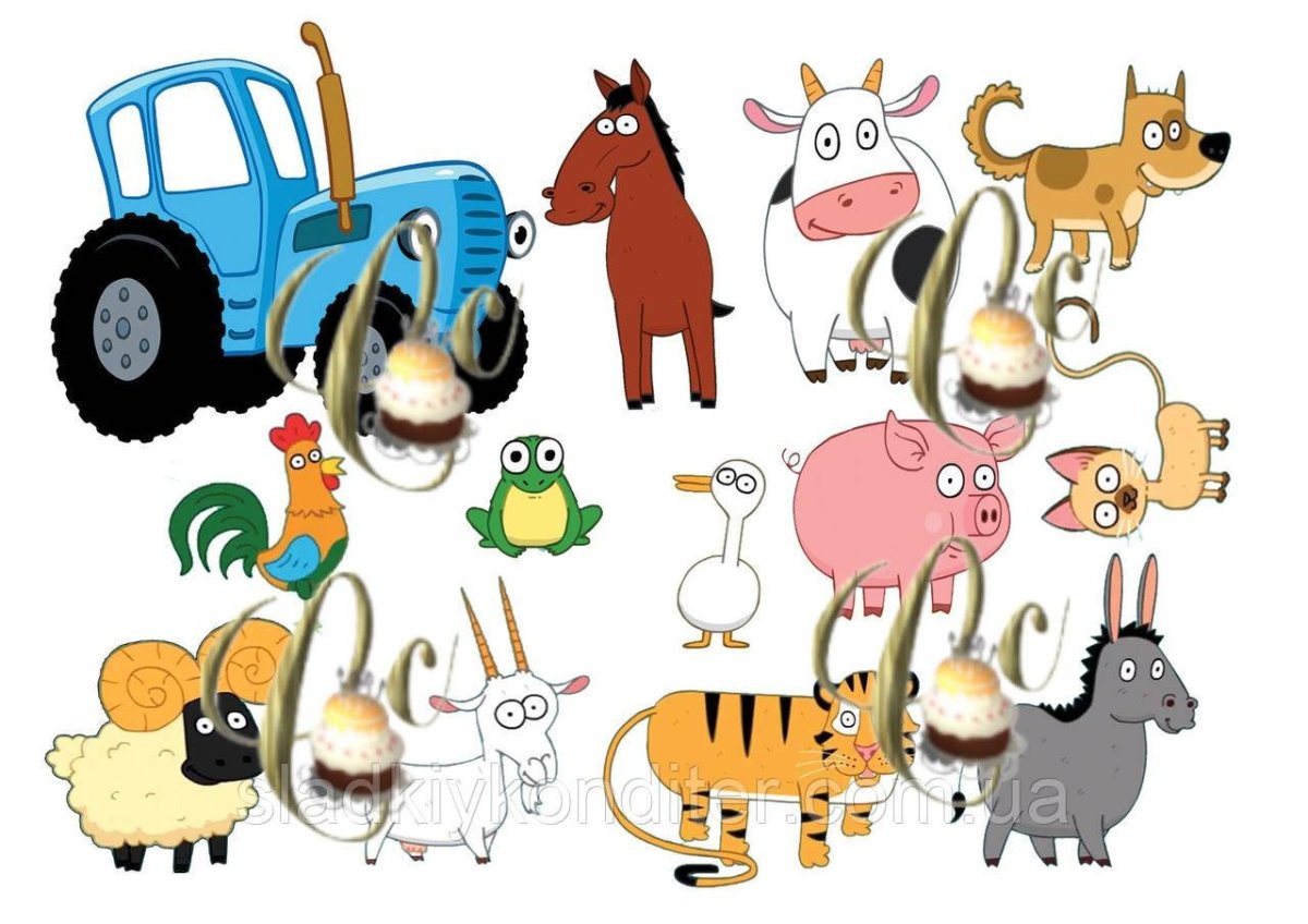 Синий трактор петушок