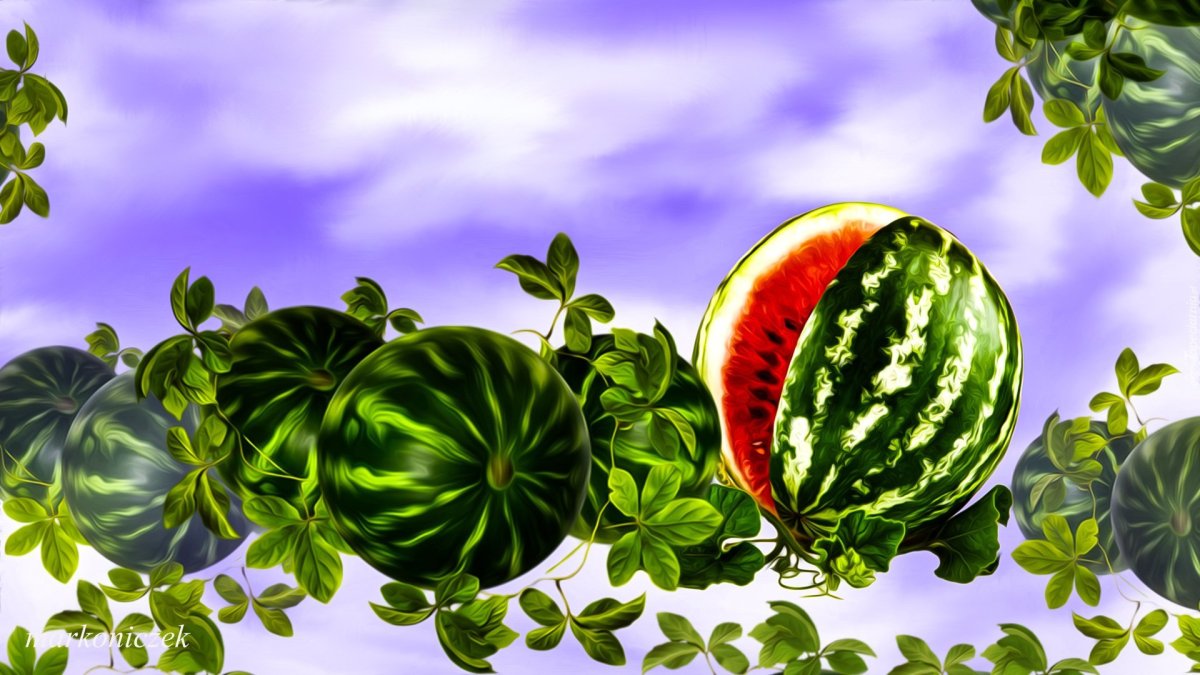 Арбуз фон