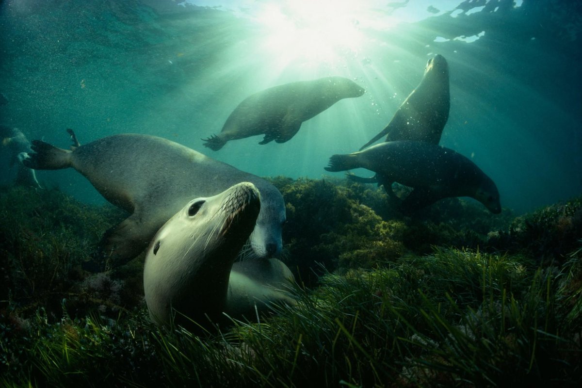 Дэвид Дубиле