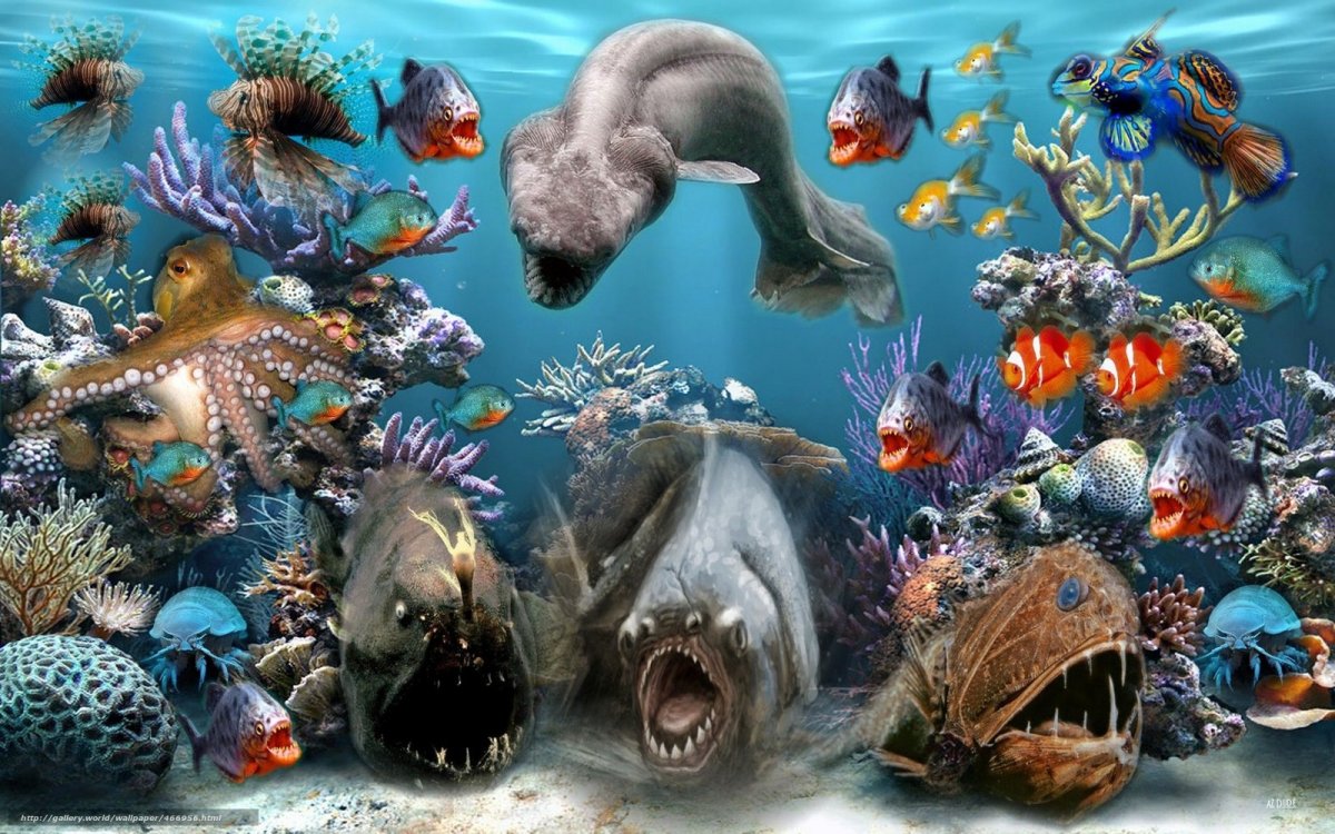 Обитатели морей и океанов