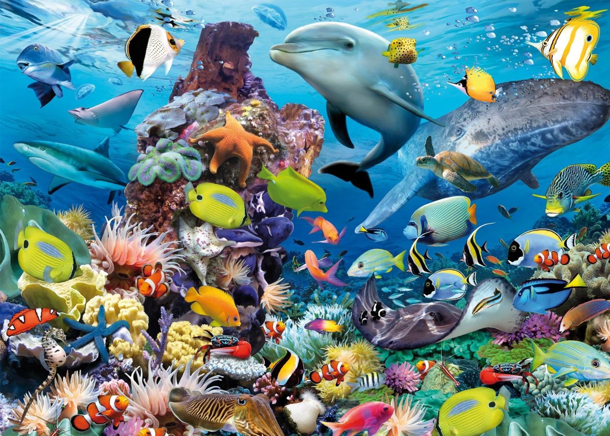 Морские обитатели