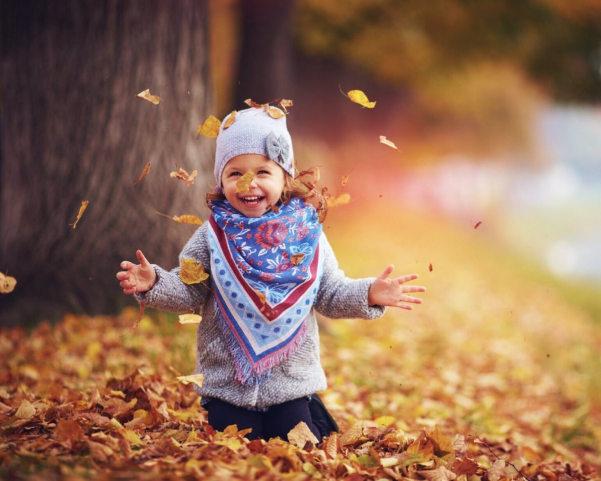 Доброе утро осень