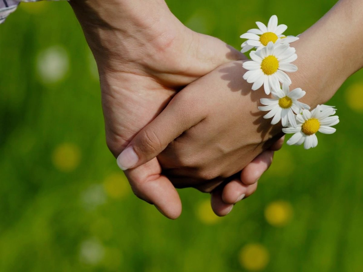 Любовь и верность