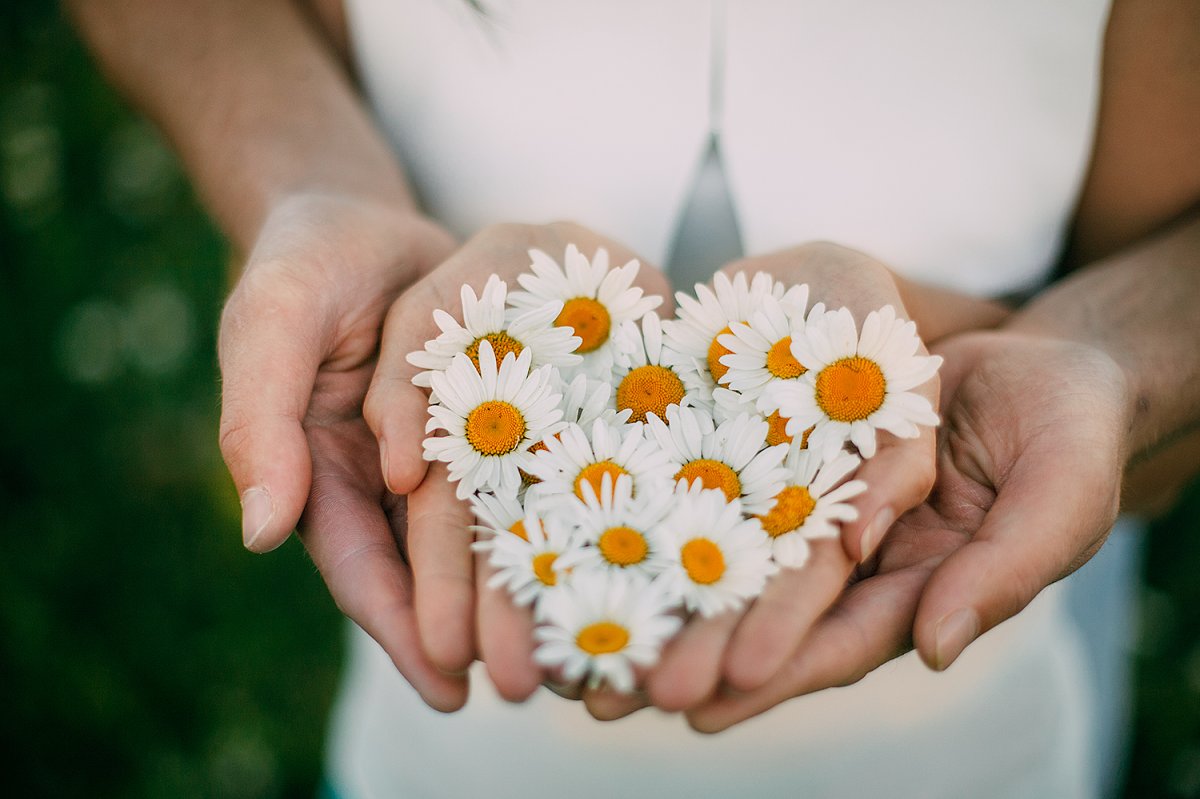 День семьи ромашки