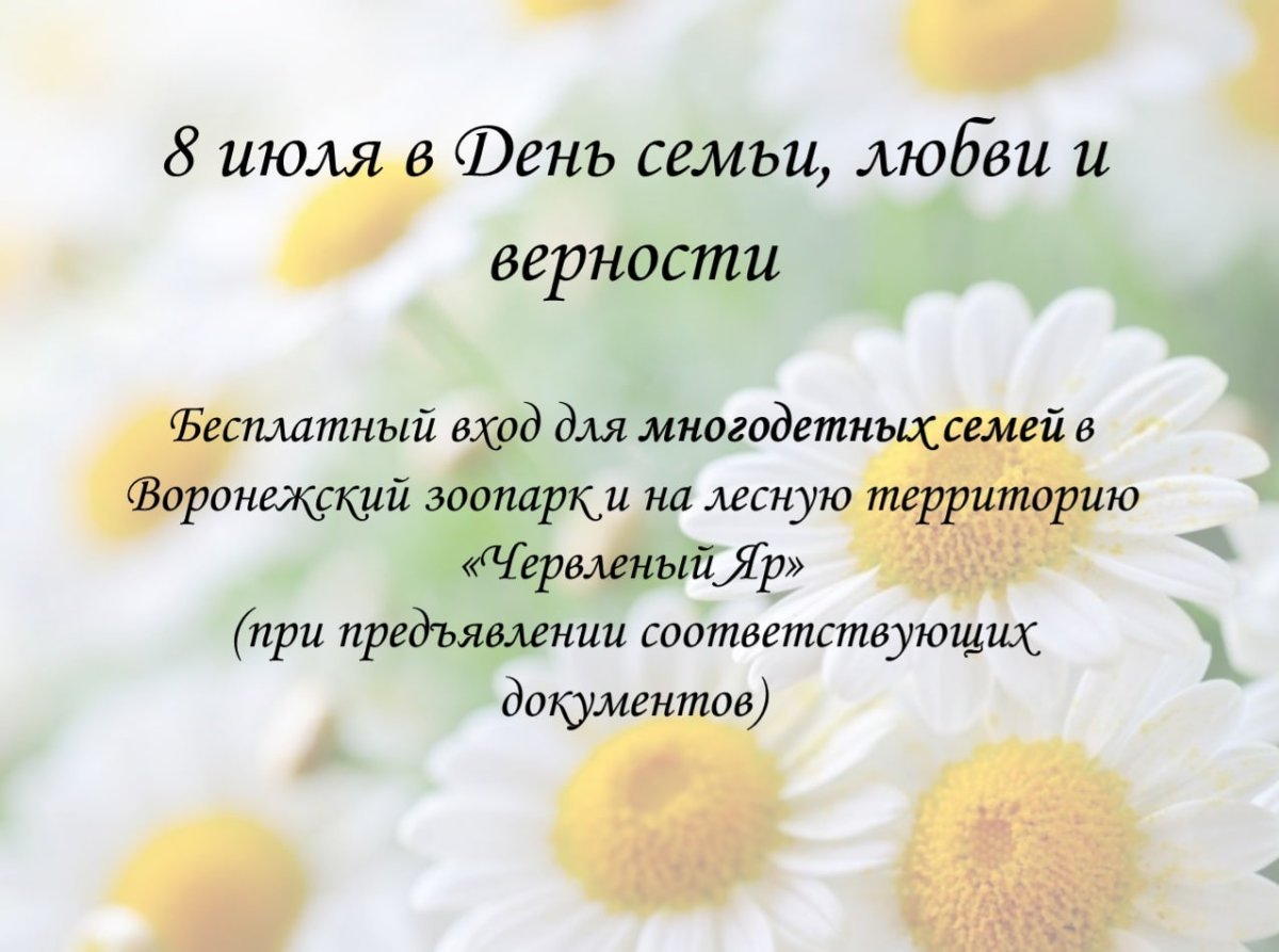 Акция ко Дню семьи любви и верности