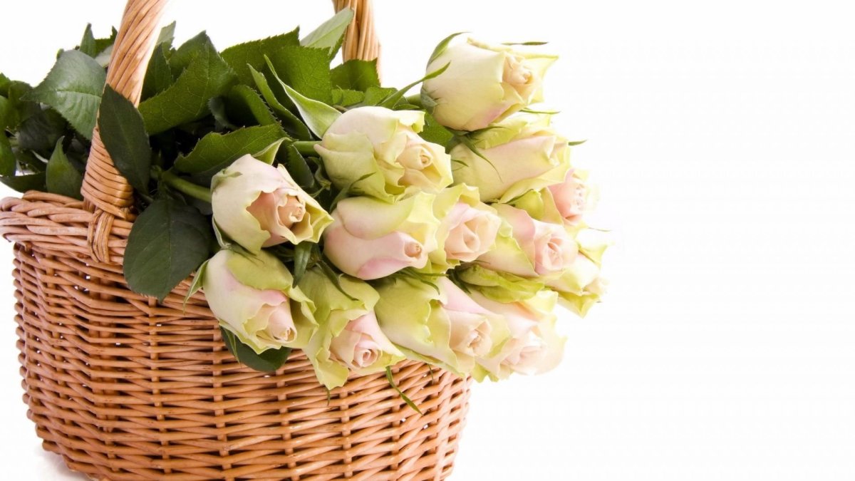 Корзина цветов на прозрачном фоне