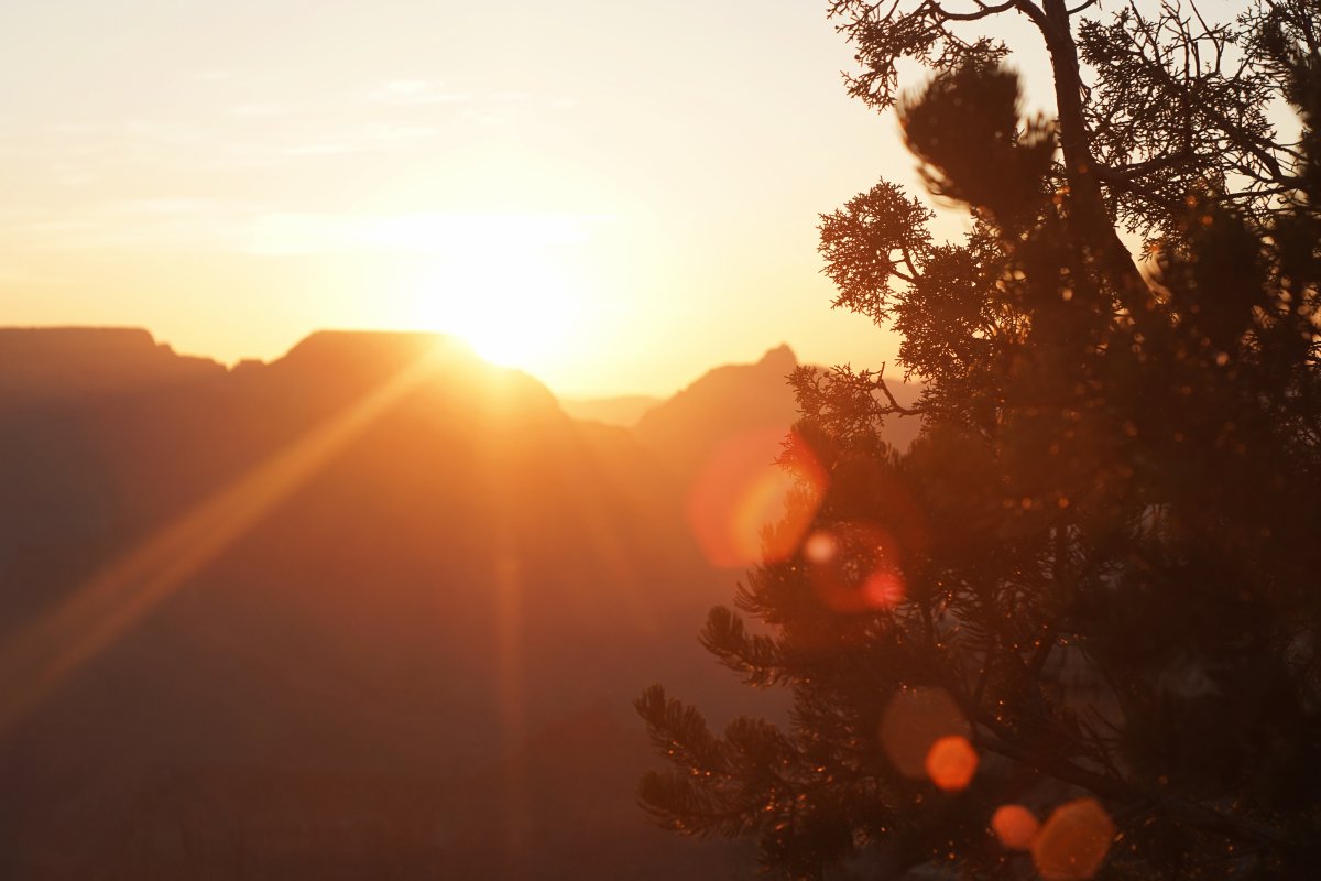 Солнце Эстетика