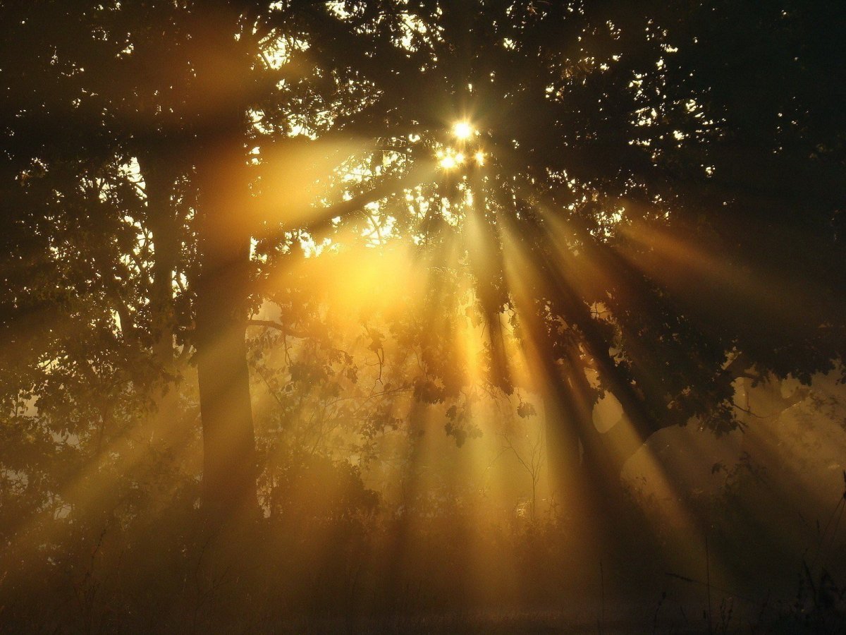 Солнечные блики