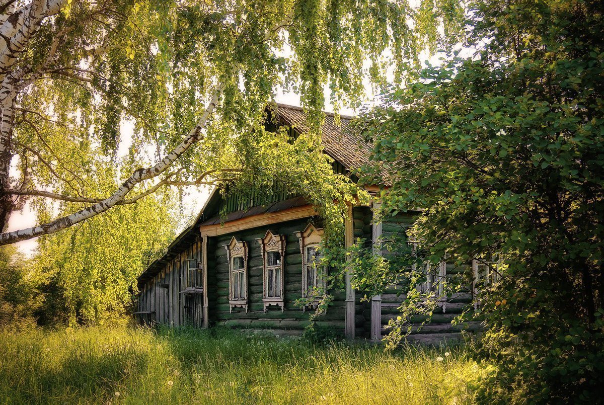 Деревня деревенька Тверская область