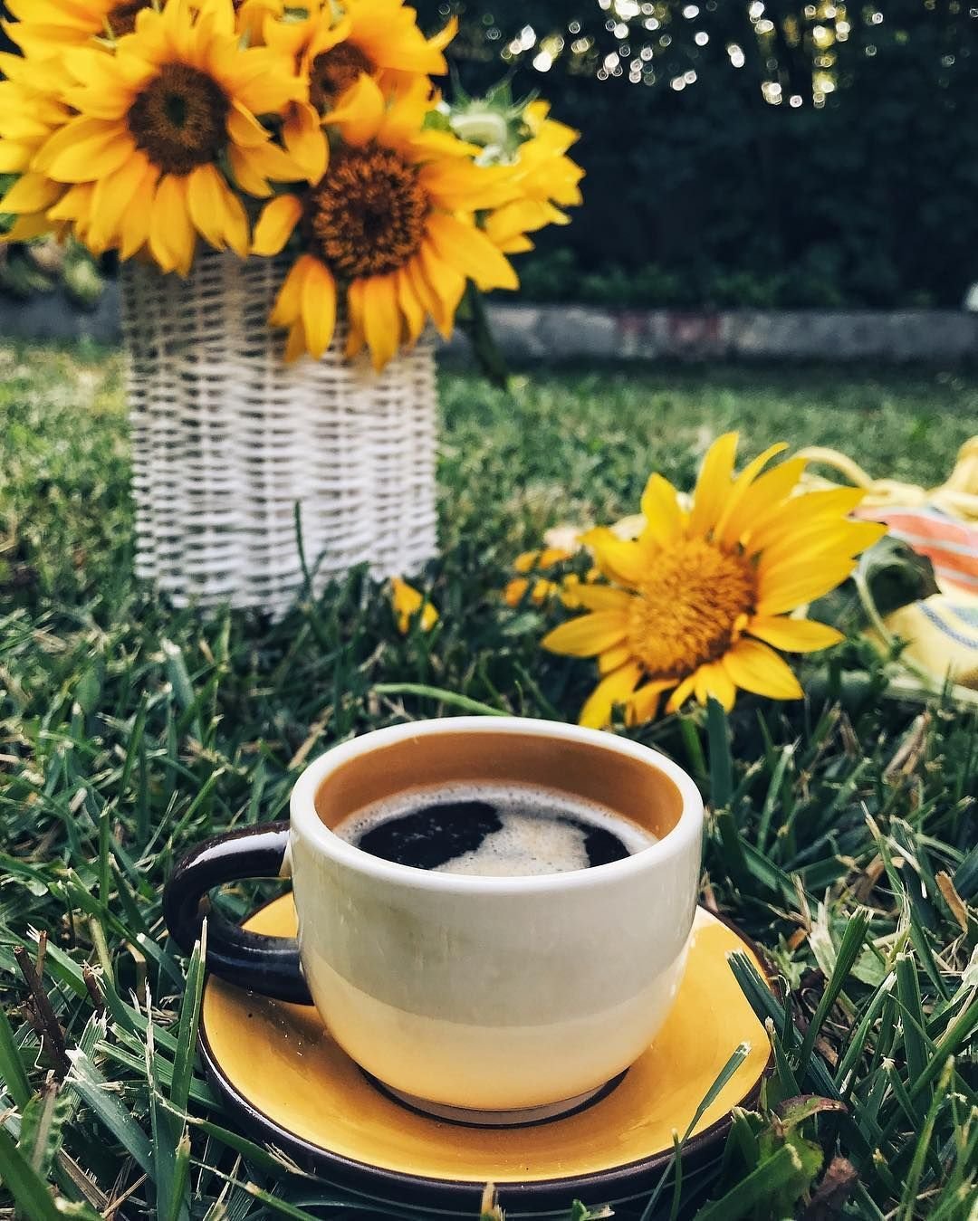 Доброе утро с подсолну