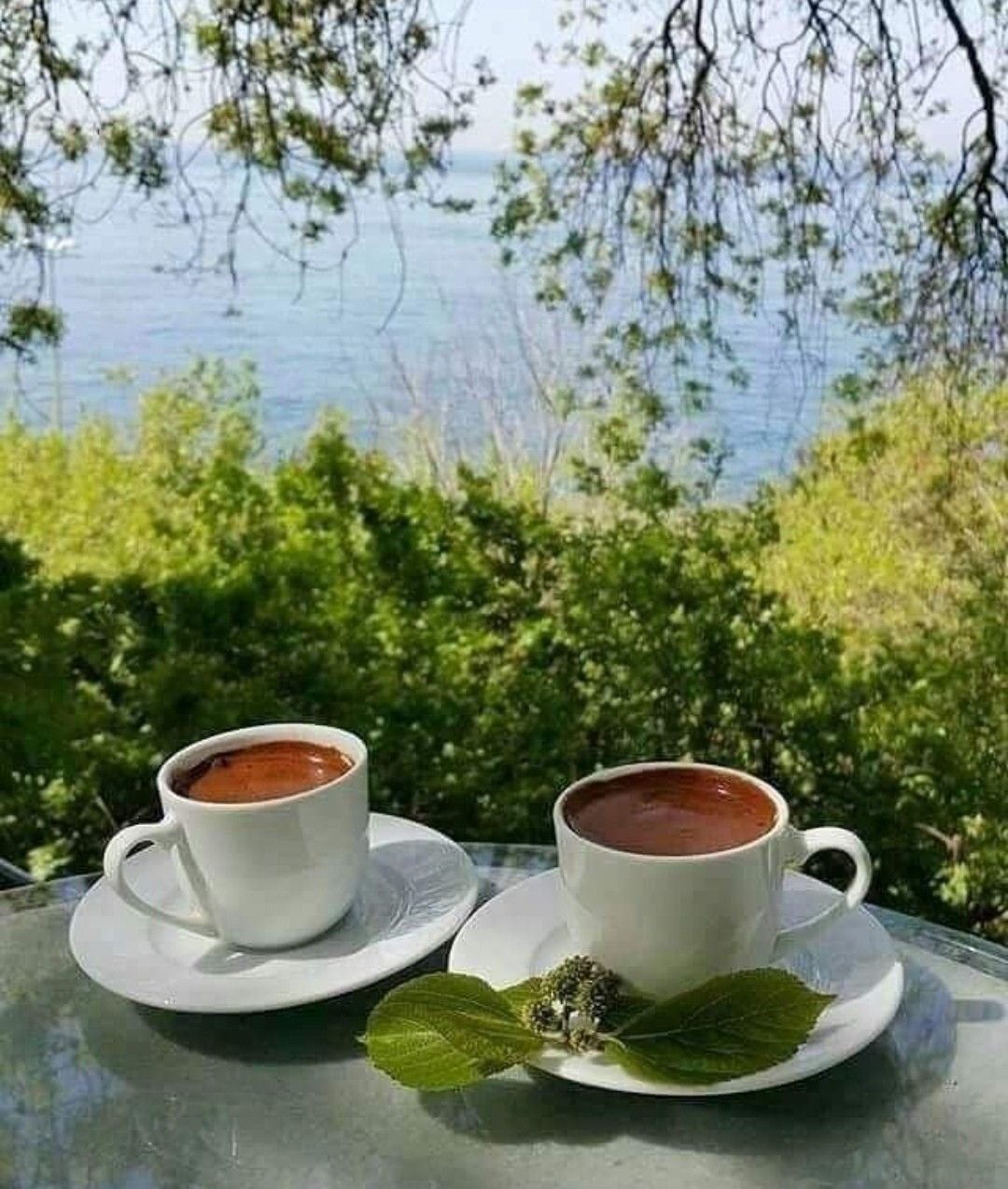 Доброе летнее утро