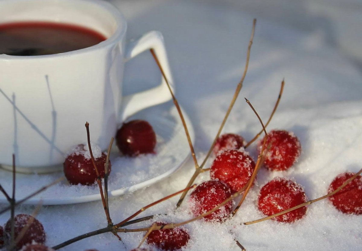 Зимняя вишня