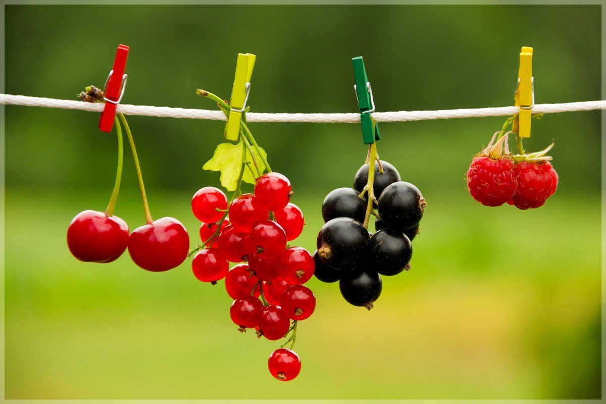 Доброе летнее утро Людмила