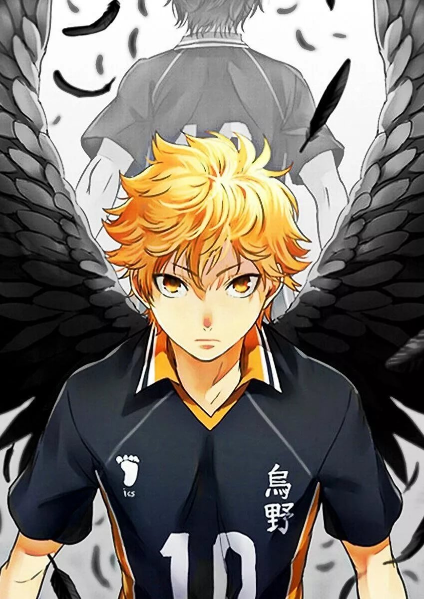 Haikyuu Хината шоё