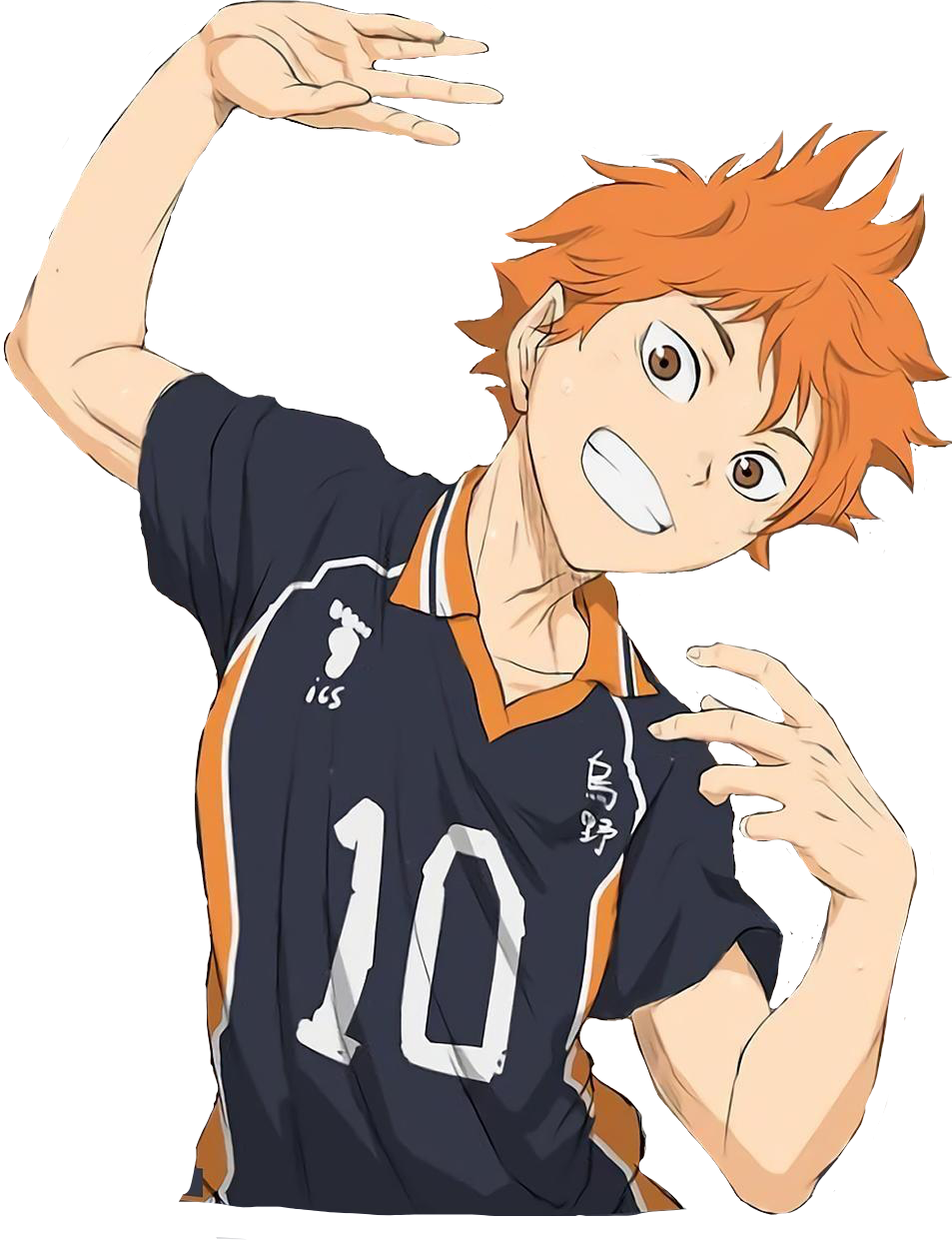 Хината шоё волейбол