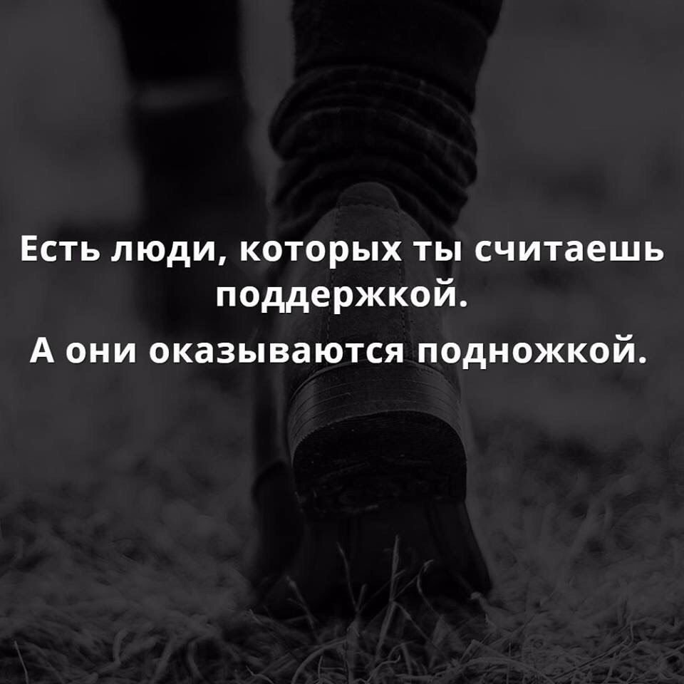Афоризмы про поддержку