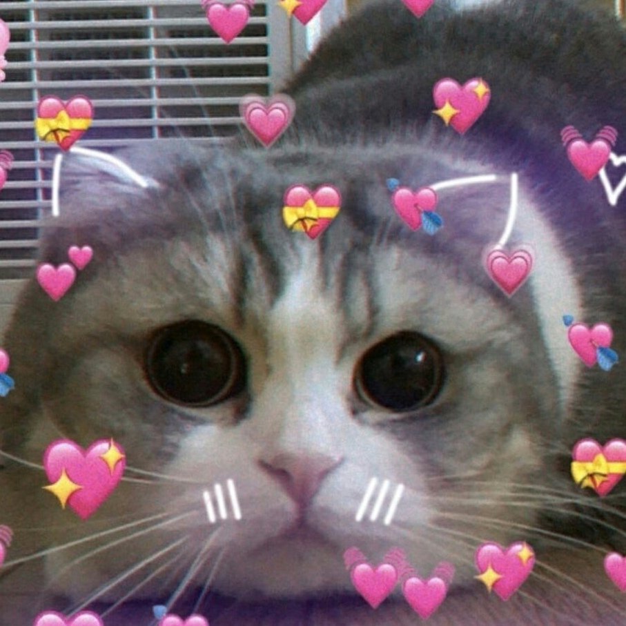 Котики с сердечками