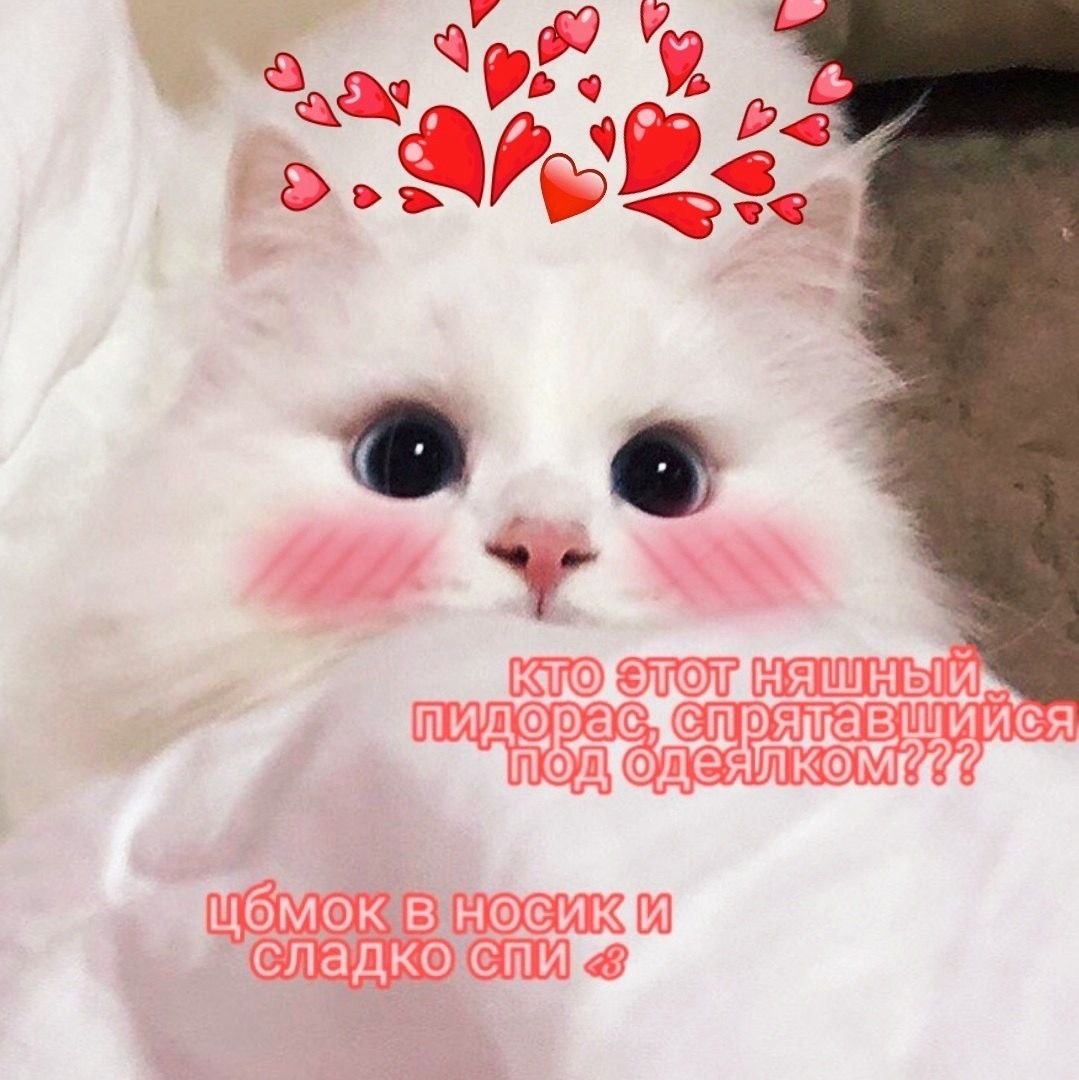 Доброе утро плодотворной пятницы