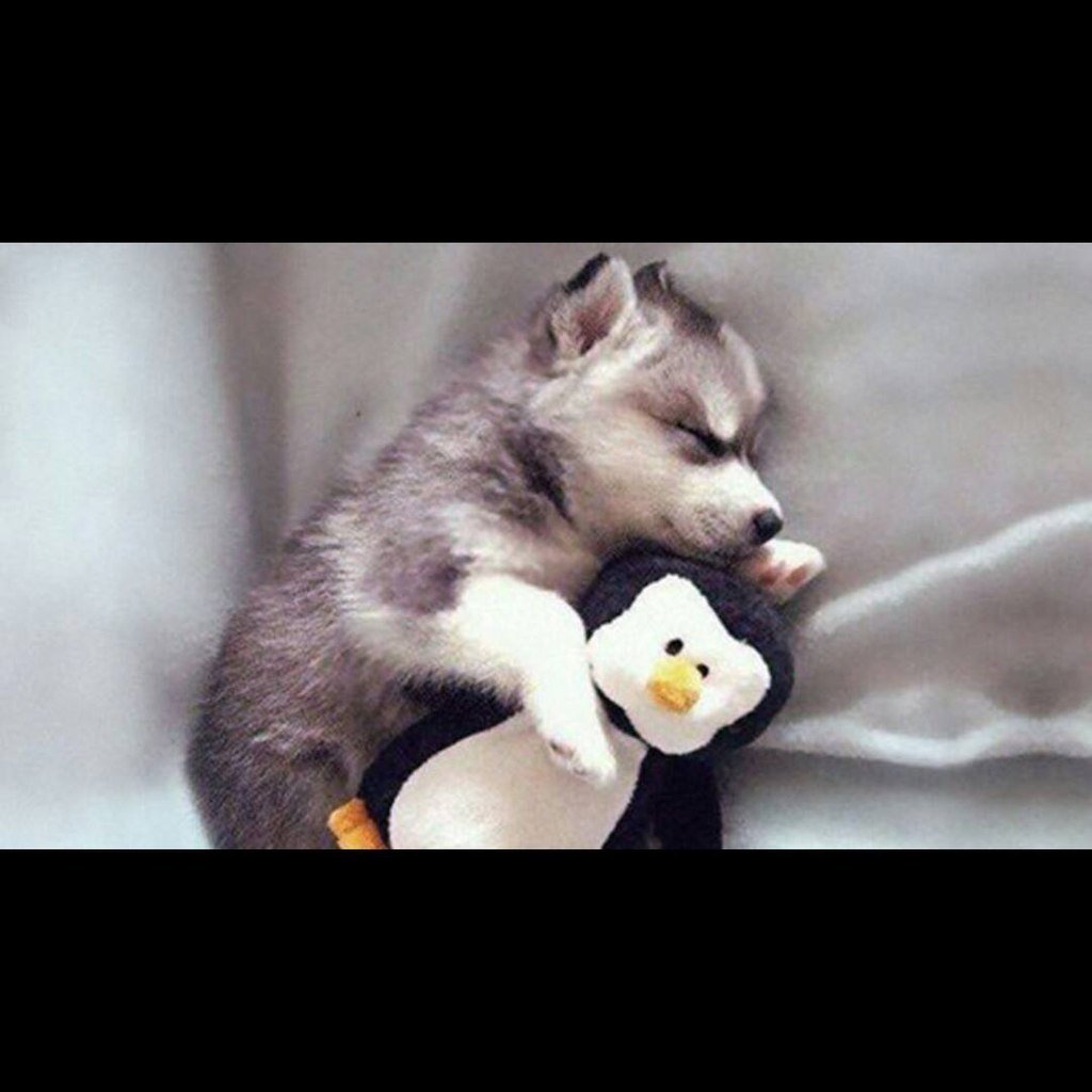 Пожелания доброй ночи