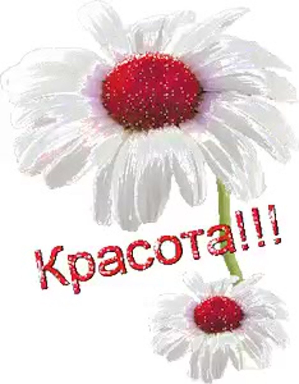 Красота открытки