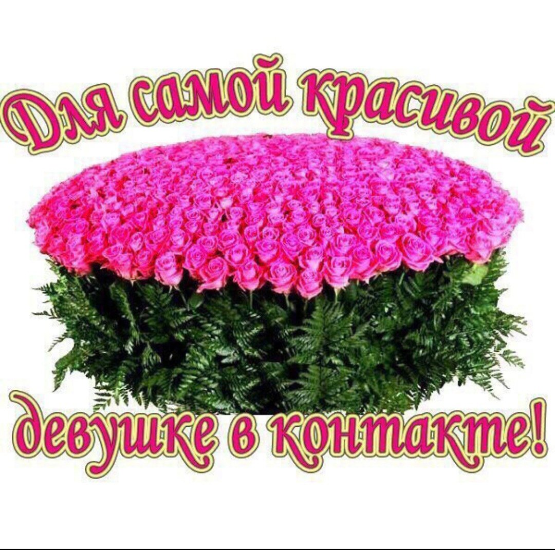 Цветы для красотульки