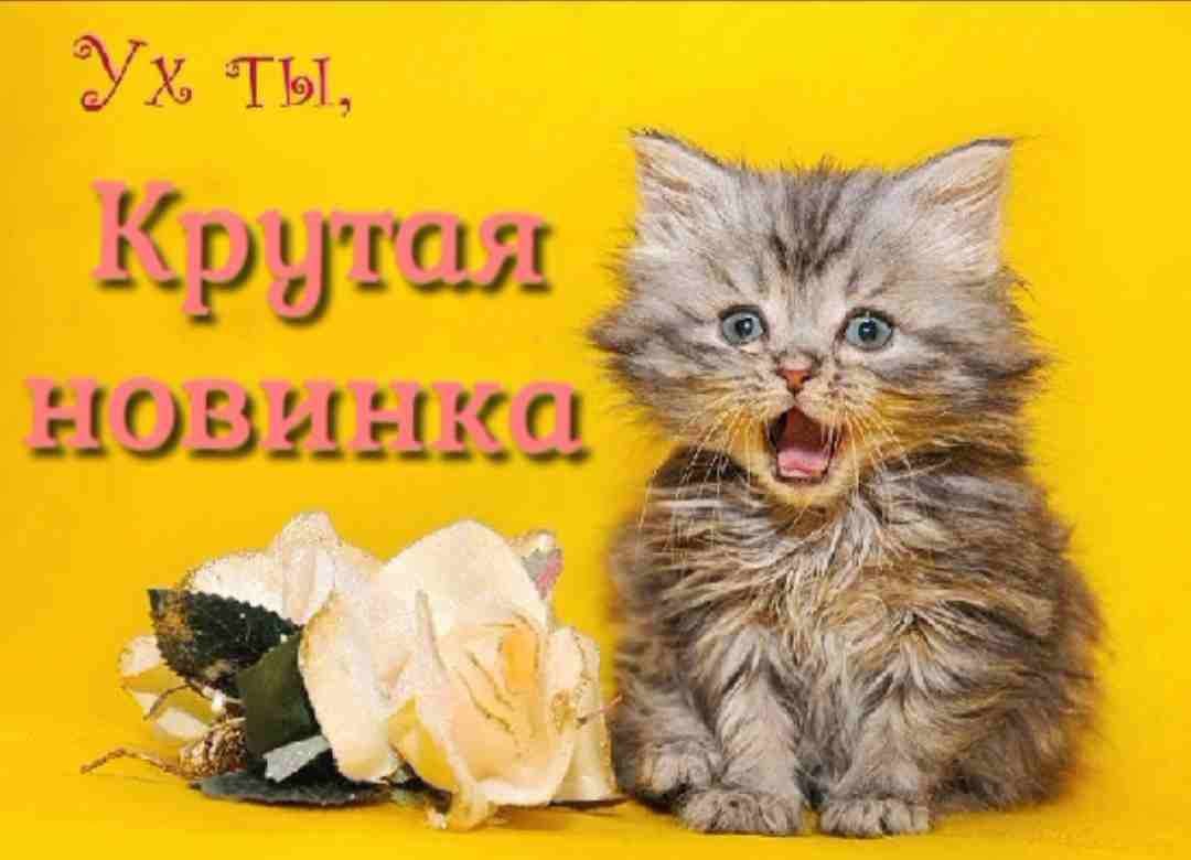 Ух ты красотка