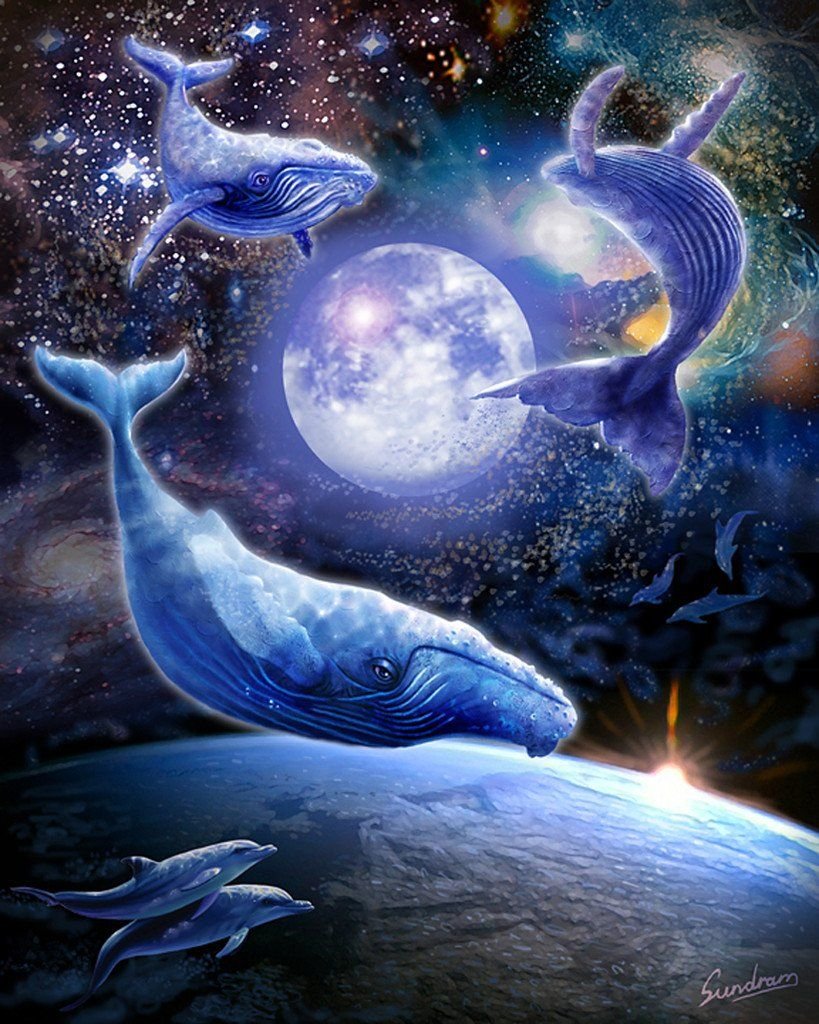 Киты в космосе