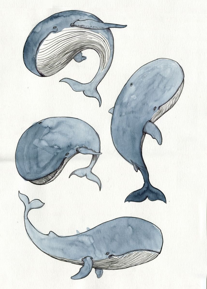 Подводный мир