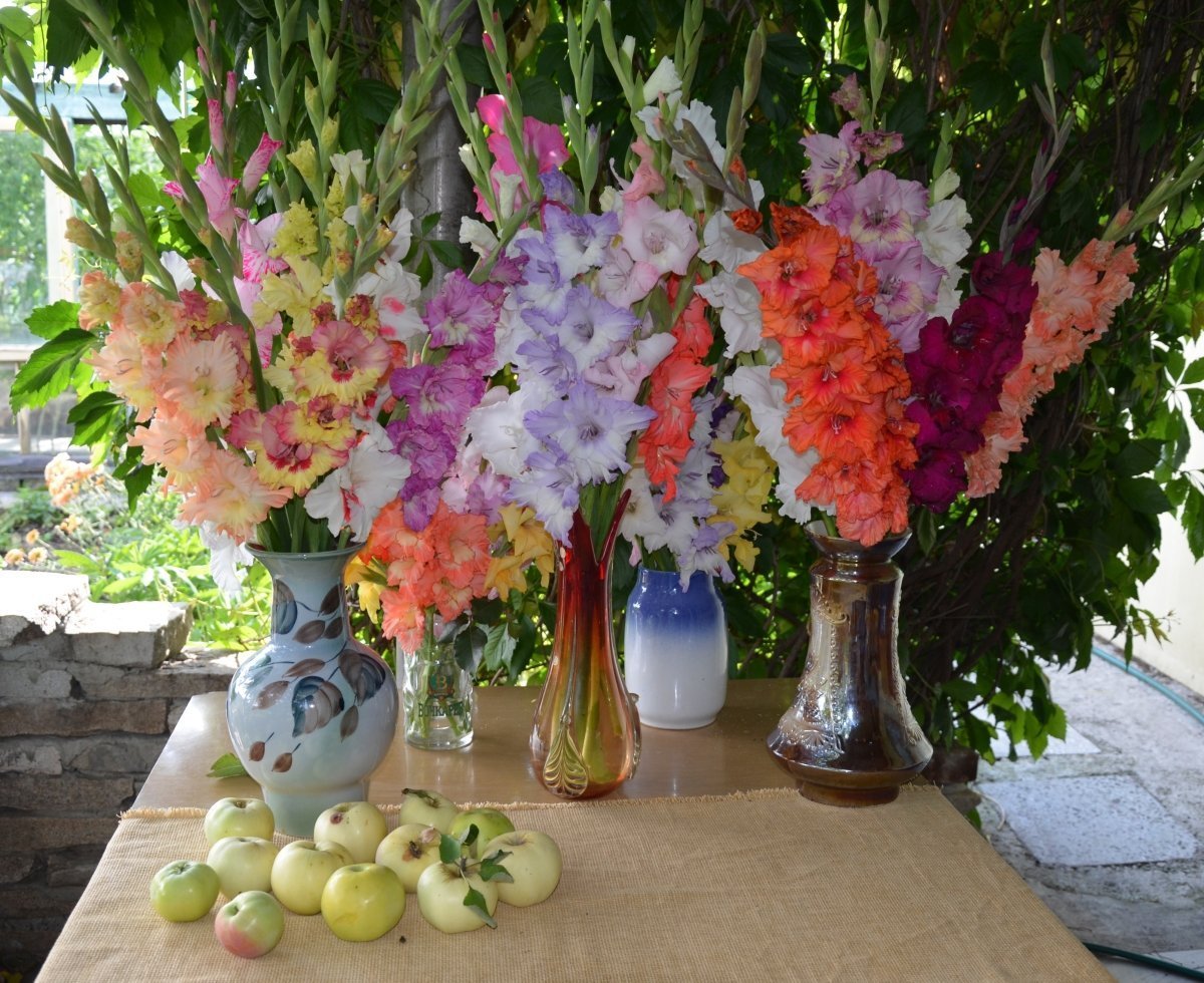 Букет "гладиолусы и зелень"