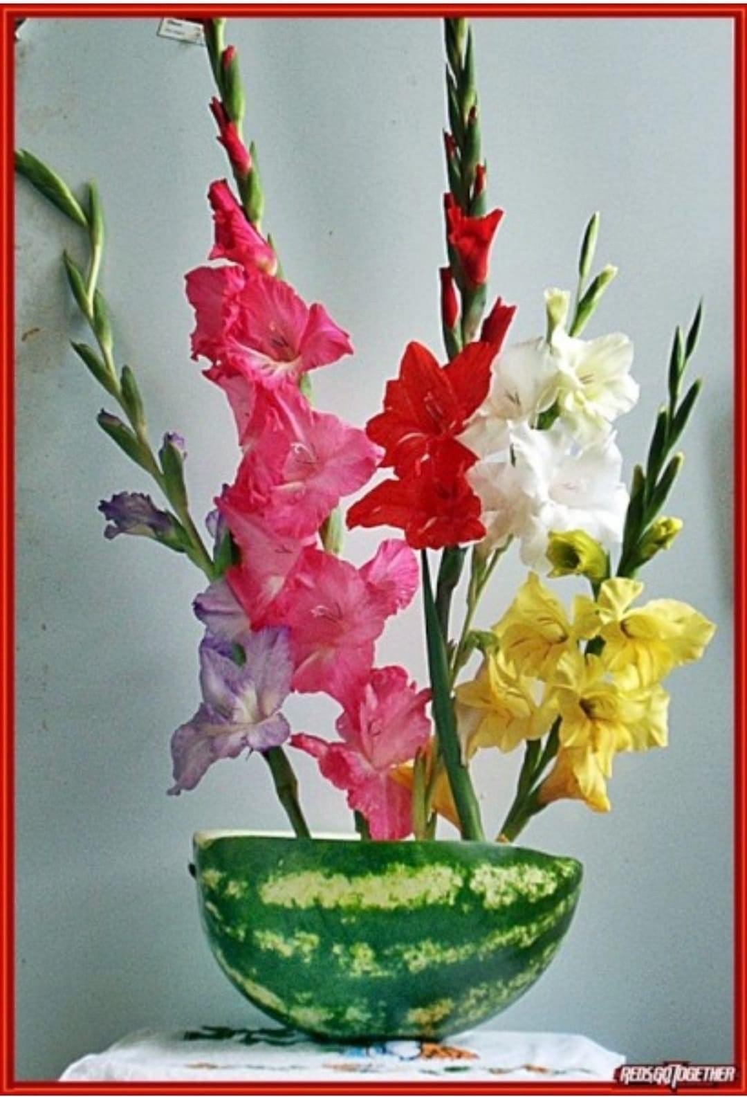 Доброе утро гладиолусы