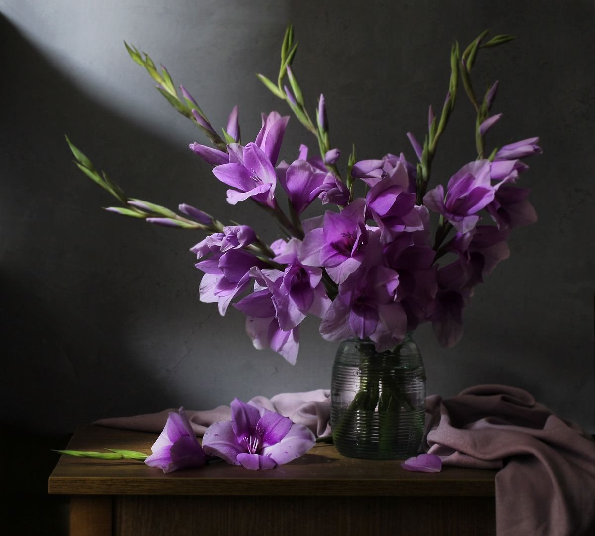 Фотонатюрморты с гладиолусами