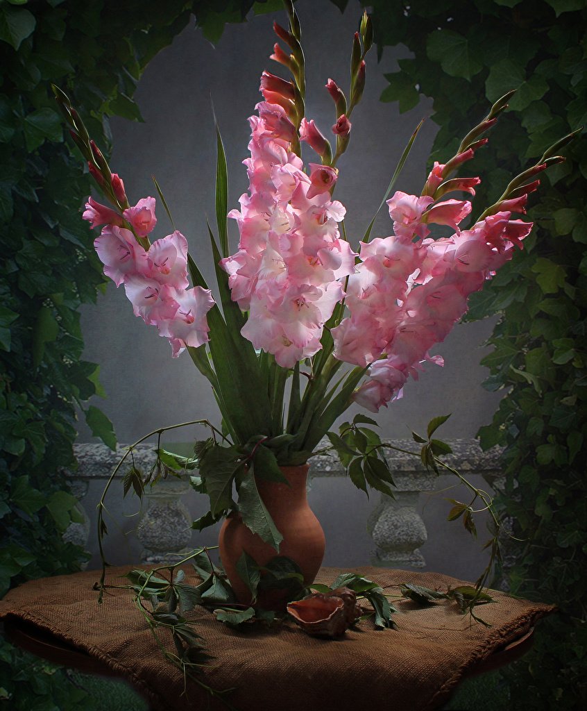 Букет гладиолуса розовый