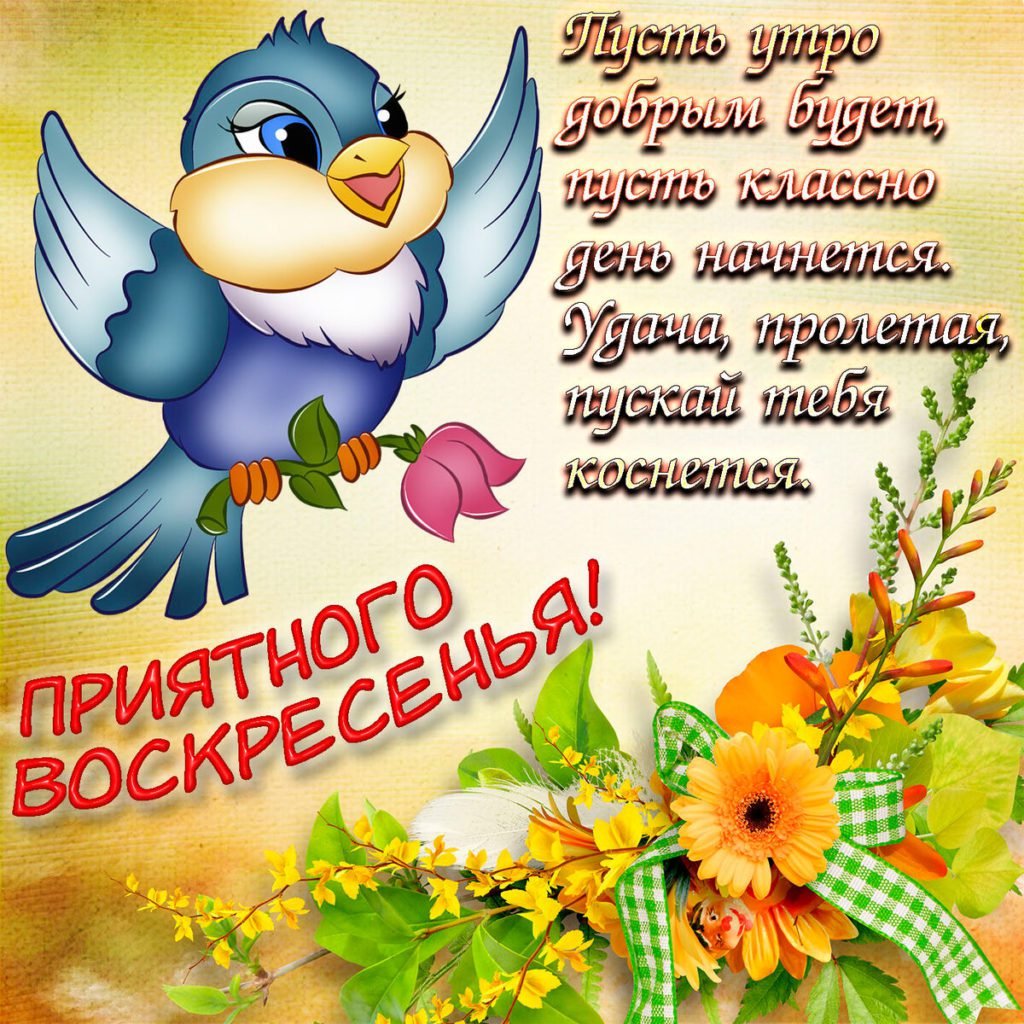 Открытки с воскресеньем прикольные