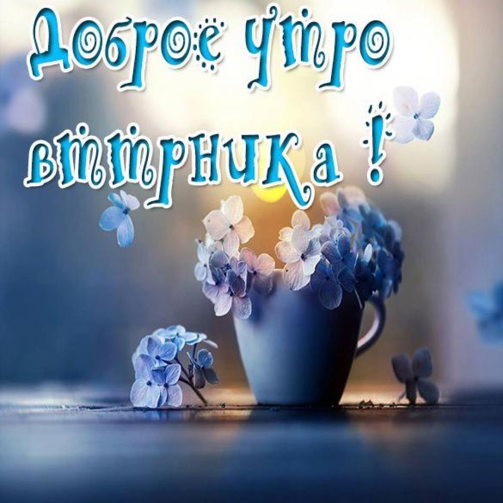 Открытки с добрым утром вторника