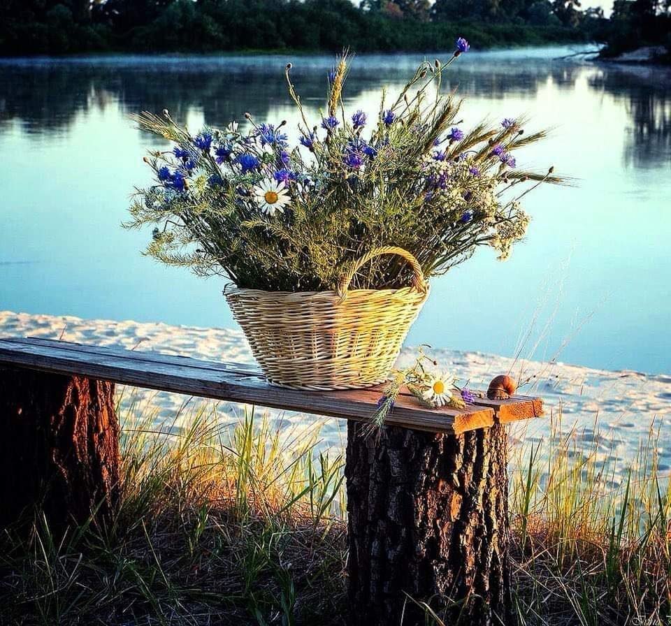 Цветы на берегу реки