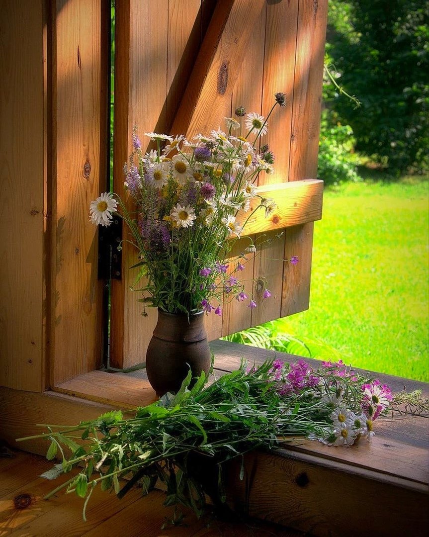 Летнее утро