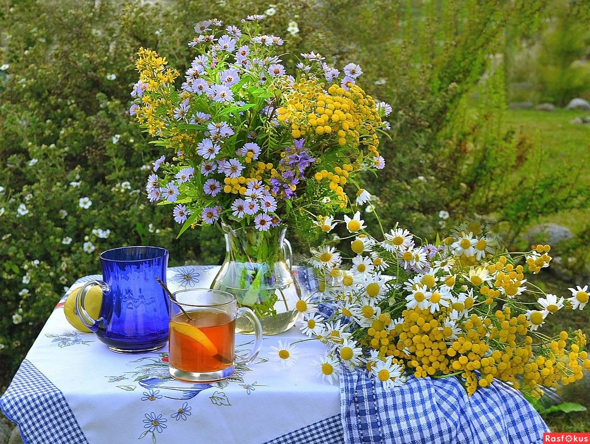 Летний день на даче