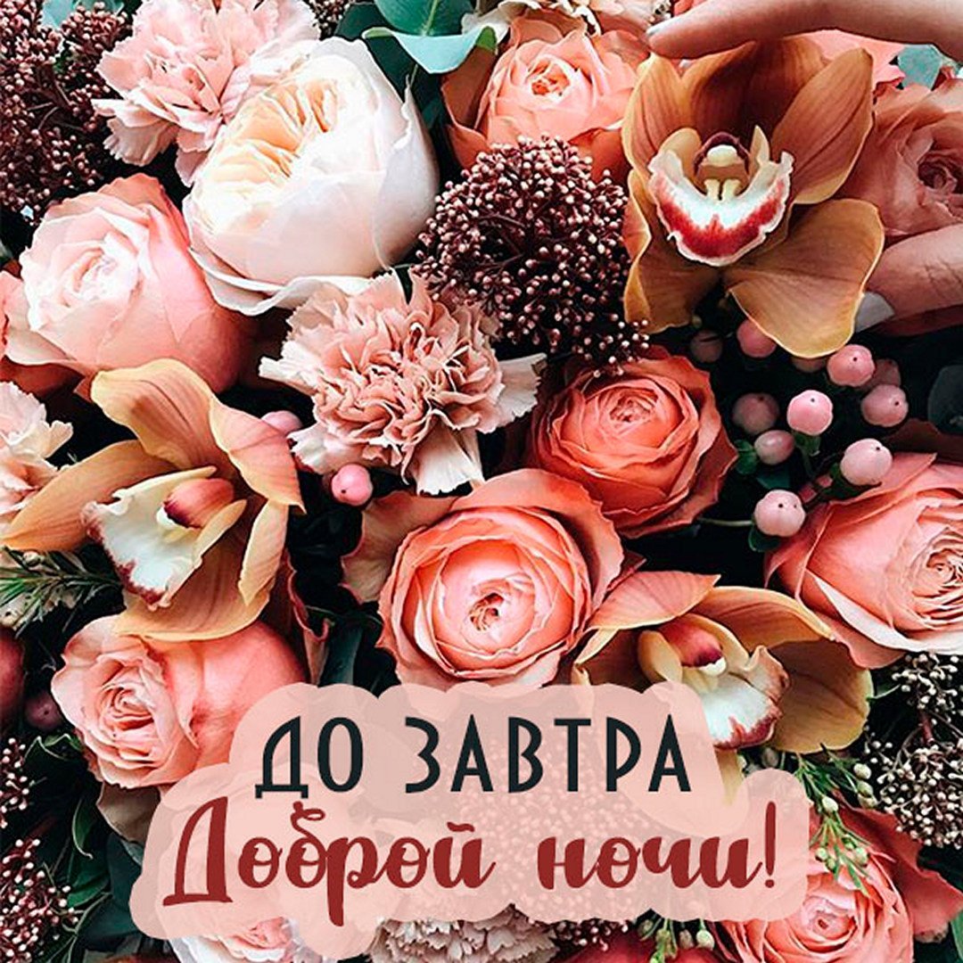 До завтра хорошеговесеоа