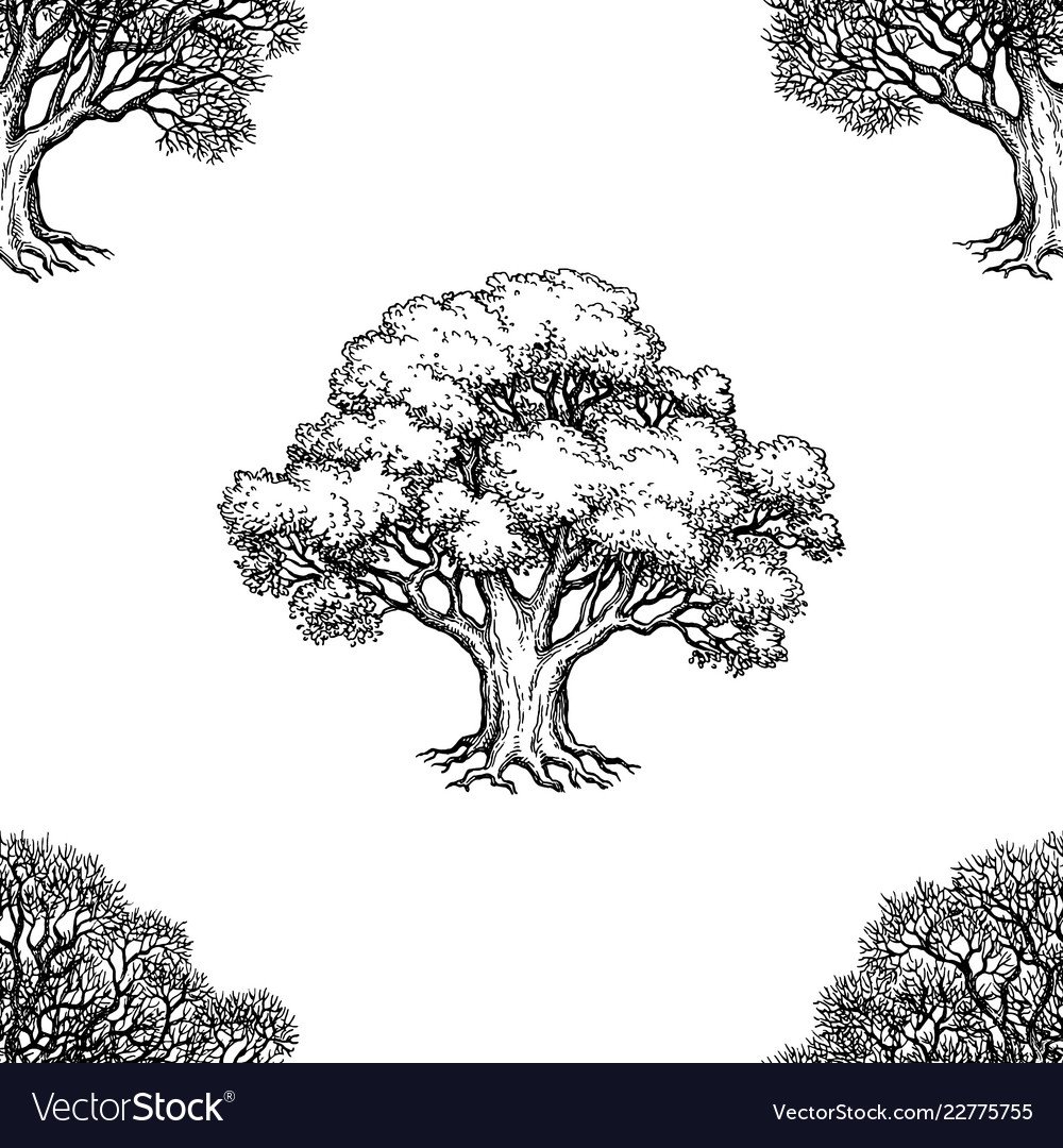 Дерево гравюра силуэт