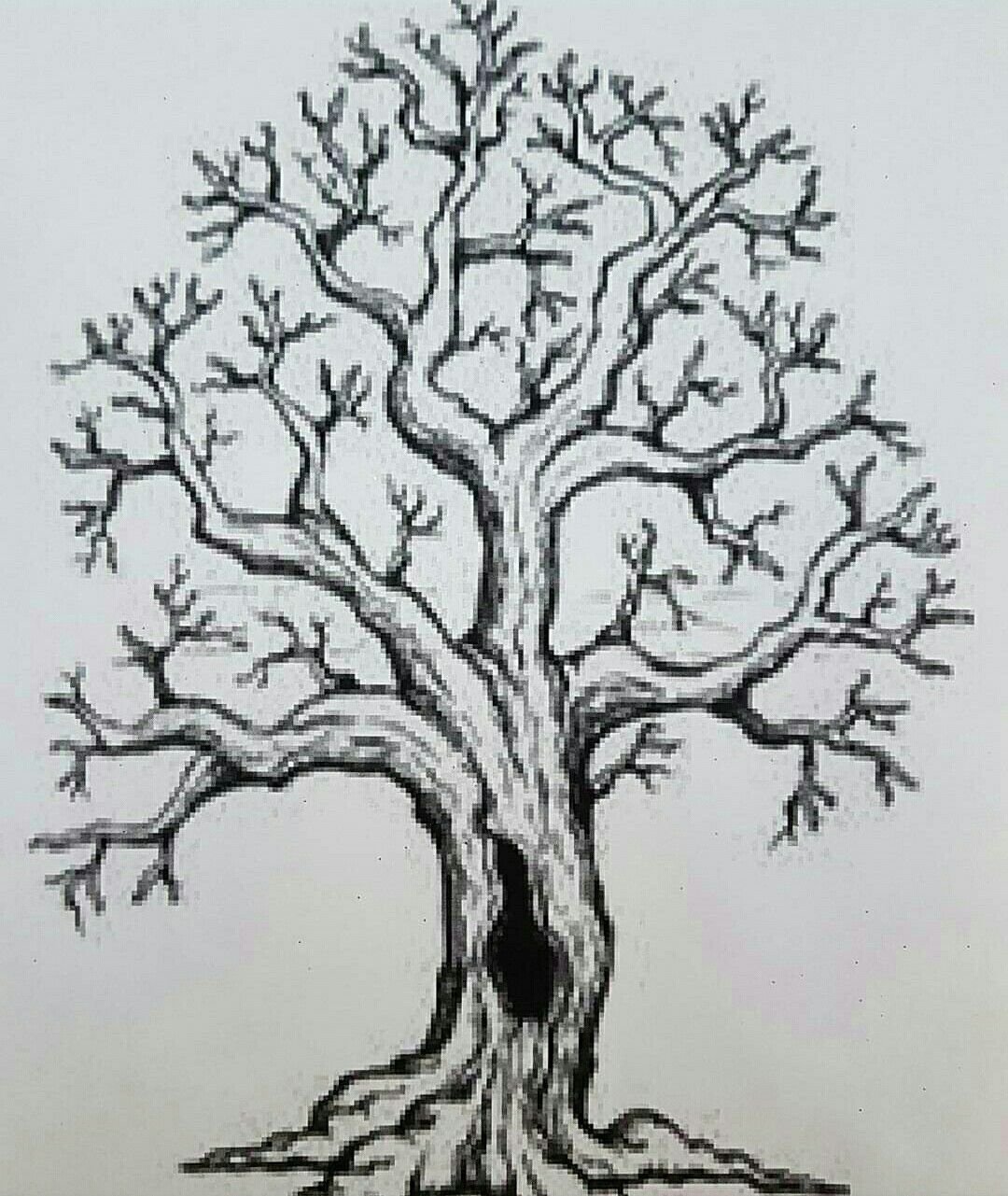 Силуэт дерева с дуплом