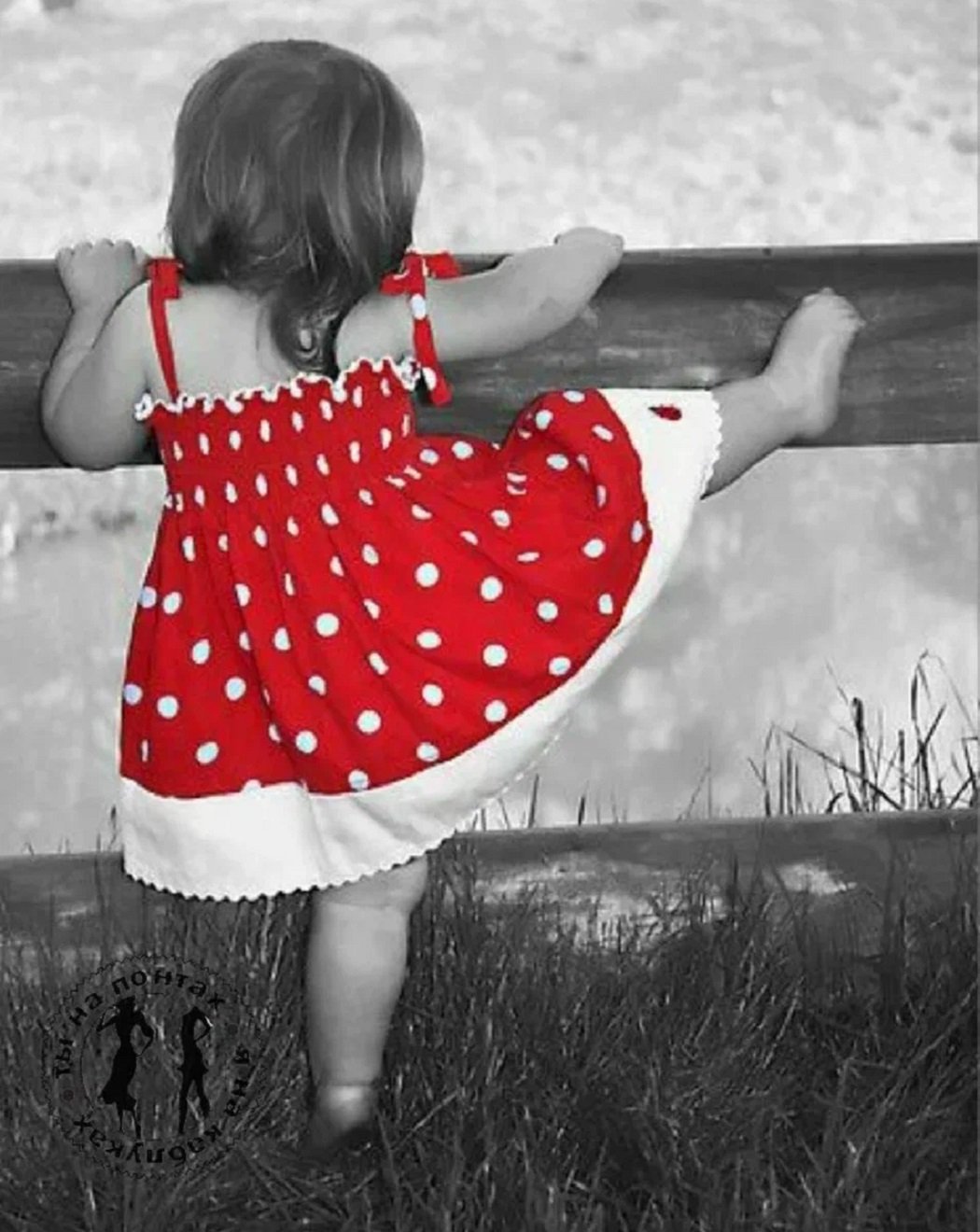 Джейк и Финн 3д