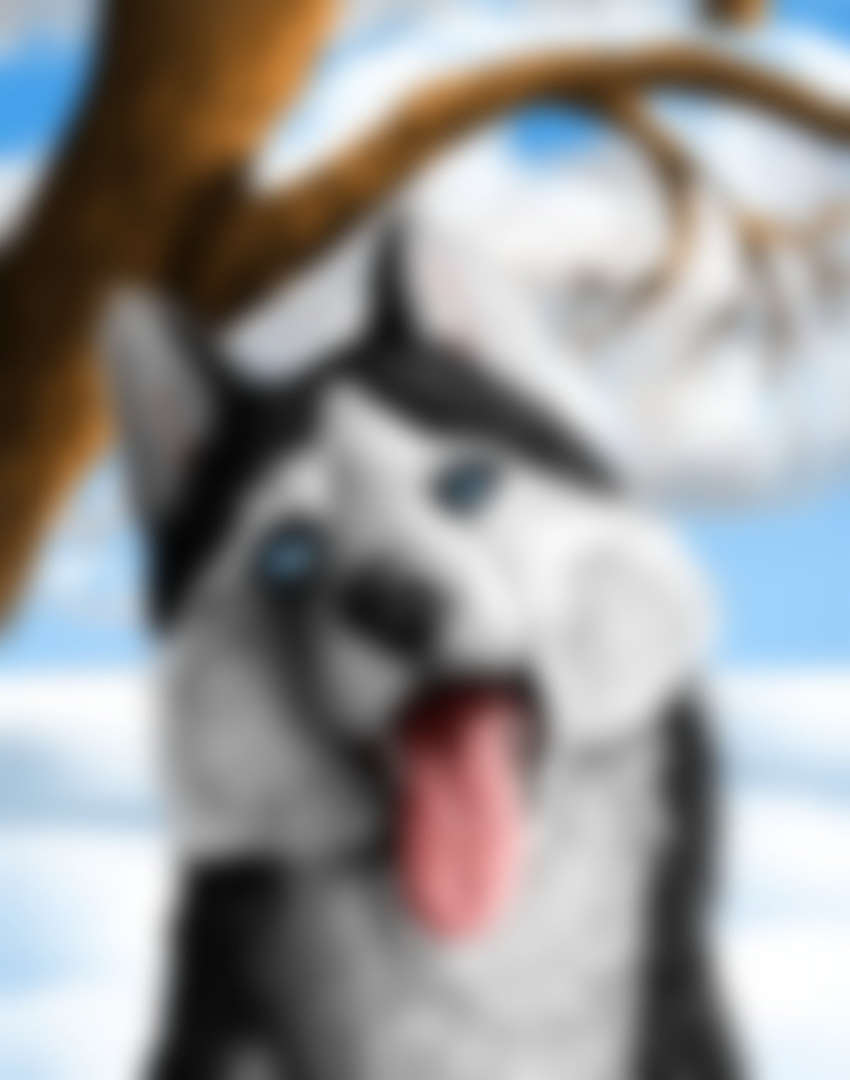 Арты с хасками